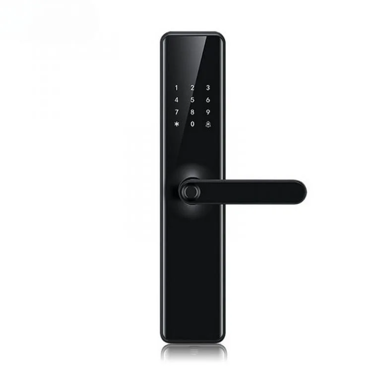 Khóa cửa vân tay EITsmart Tuya WM06 sơn phủ IML, khóa thông minh tích hợp sinh trắc học.